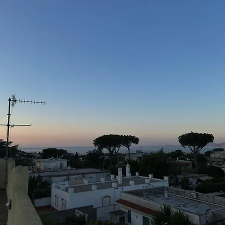 Immersa Nel