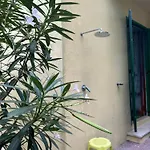 Immersa Nel *